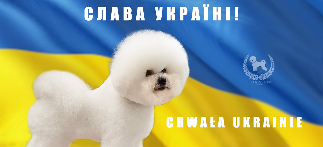 Chwała Ukrainie!
