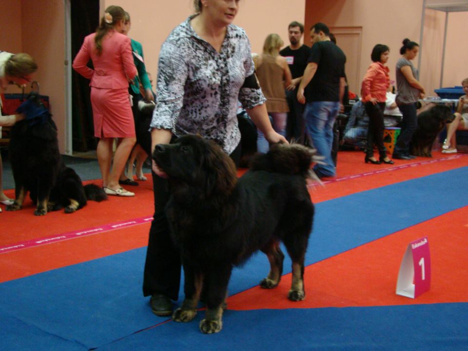 Euro Dog Show 2012