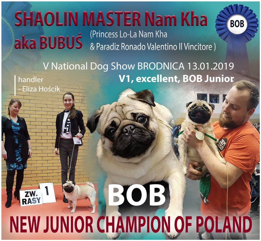 Bubuś – Młodzieżowy Champion Polski!