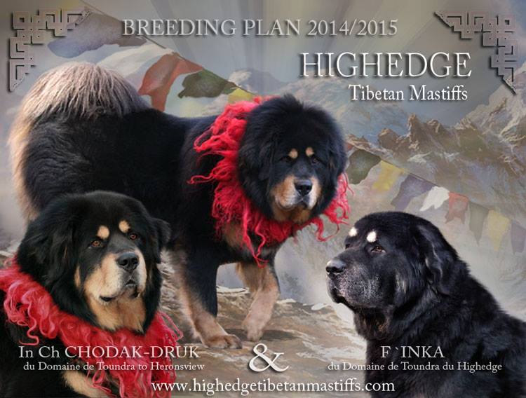 breeding_highedge
